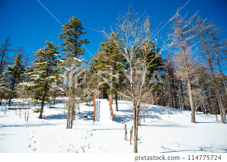 晴朗的日子裡雪山的美景 晴朗的日子裡雪山的美景 114775724