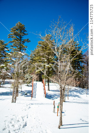 晴朗的日子裡雪山的美景 晴朗的日子裡雪山的美景 114775725