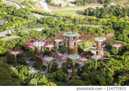 Marina Bay, Singapore - September 3, 2022 : Aerial View Of Supertree Grove At Gardens By The Bay. Marina Bay, Singapore - September 3, 2022 : Aerial View Of Supertree Grove At Gardens By The Bay. 114775923