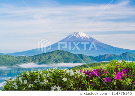 <Kanagawa Prefecture> Mount Fuji from the Hakone Daikanzan Observatory with azaleas in bloom <Kanagawa Prefecture> Mount Fuji from the Hakone Daikanzan Observatory with azaleas in bloom 114776140