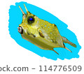 Illustration of a boxfish 114776509