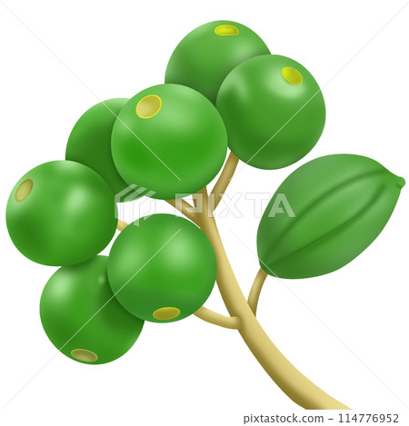green olives with leaves green olives with leaves 114776952