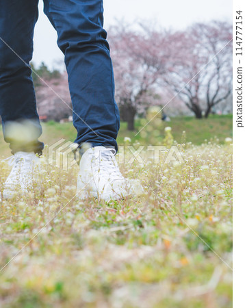 春天風景 114777154