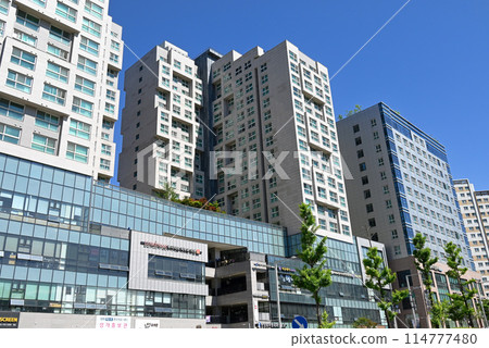 韓國:辦公室鱗次櫛比的景象 韓國:辦公室鱗次櫛比的景象 114777480