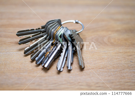 A bunch of keys 114777666