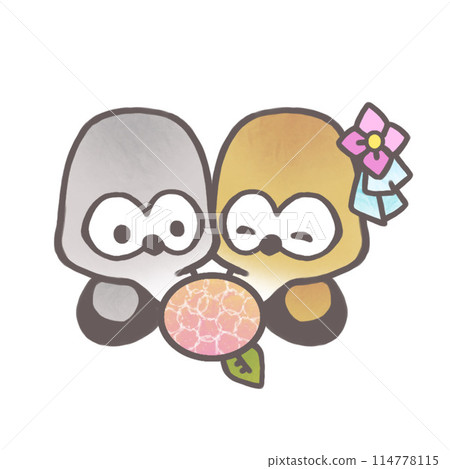 貓頭鷹新娘和新郎 114778115