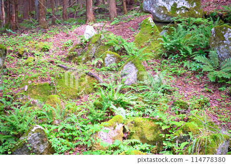 東北，遠野，500羅漢，目之所及的羅漢雕像，為飢荒受害者的追悼而雕刻，岩手縣遠野市（1） 114778380