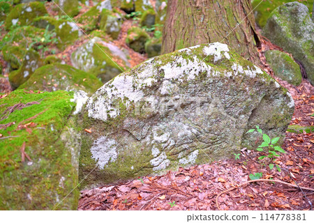 Tohoku, Tono, 500 Arhats: The figures of Arhats (Buddhist disciples) carved while praying for the souls of the victims, Tono City, Iwate Prefecture (6) 114778381