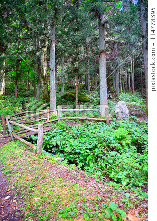 東北、遠野、500羅漢：一眼望去羅漢像的山路，岩手縣遠野市（6） 114778395