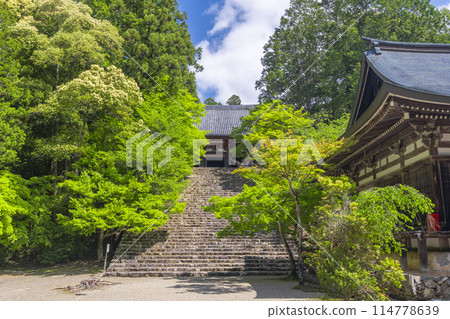 Fresh greenery in Kyoto: Jingoji Temple - Long stone steps leading to the main hall 114778639