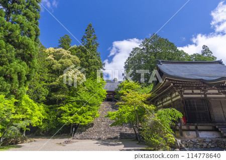 Fresh greenery in Kyoto: Jingoji Temple - Long stone steps leading to the main hall 114778640