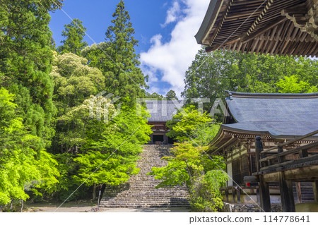 京都的綠意盎然,神護寺,長長的石階通往正殿 京都的綠意盎然,神護寺,長長的石階通往正殿 114778641