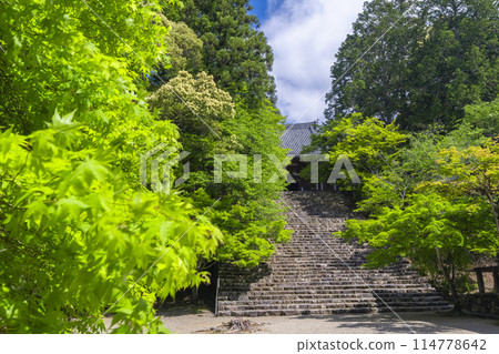 京都的綠意盎然，神護寺，長長的石階通往正殿 114778642