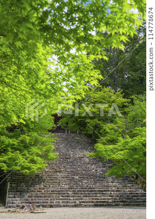 京都的綠意盎然，神護寺，長長的石階通往正殿 114778674