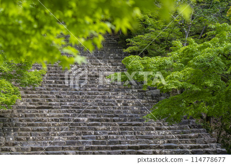 Fresh greenery in Kyoto: Jingoji Temple - Long stone steps leading to the main hall 114778677