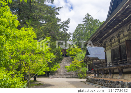 京都的綠意盎然，神護寺，長長的石階通往正殿 114778682