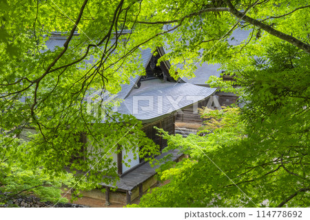 京都新綠、神護寺、五殿堂、毗沙門堂 114778692
