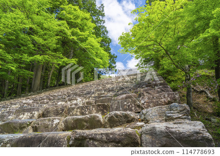 京都的綠意盎然,神護寺,長長的石階通往正殿 京都的綠意盎然,神護寺,長長的石階通往正殿 114778693