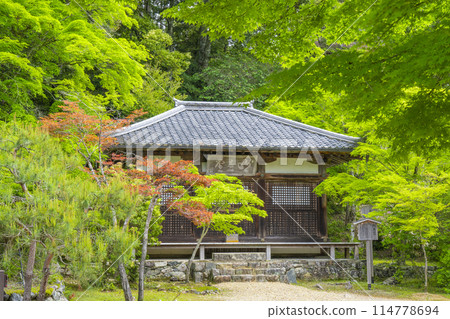 Fresh greenery in Kyoto: Jingoji Temple Myo-o-do Hall 114778694