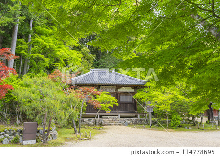 京都的新綠、神護寺、Myoodo 京都的新綠、神護寺、Myoodo 114778695