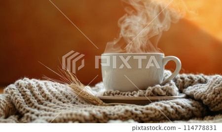 Cup of Hot Chocolate on Blanket 114778831