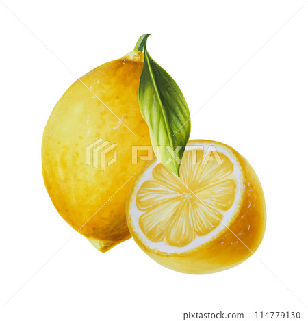 Fresh ripe lemons with bright green leaves. Hand drawn watercolor cut citrus slices painting on background. For designers, postcards, party Invitations, wrapping paper, covers. For posters and textile Fresh ripe lemons with bright green leaves. Hand drawn watercolor cut citrus slices painting on background. For designers, postcards, party Invitations, wrapping paper, covers. For posters and textile 114779130