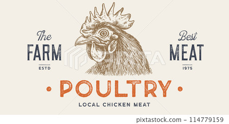 Rooster, chicken, hen head. Vintage retro print, rooster sketch ink pencil style drawing, engrave old school. Sketch artwork silhouette head rooster chicken. Side view profile. Vector Illustration Rooster, chicken, hen head. Vintage retro print, rooster sketch ink pencil style drawing, engrave old school. Sketch artwork silhouette head rooster chicken. Side view profile. Vector Illustration 114779159