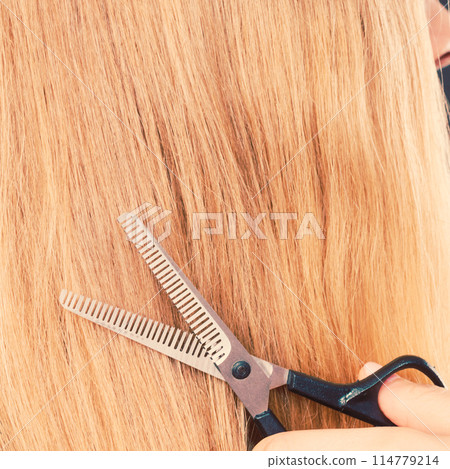 Close up detail. Special scissors cutting hair. Close up detail. Special scissors cutting hair. 114779214