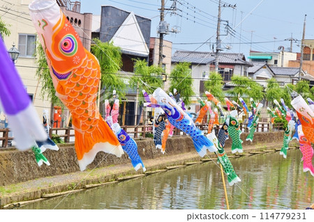 Carp streamers on a clear day in Tochigi 114779231