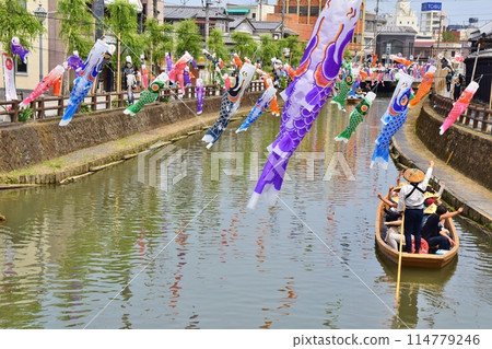 晴空下飄揚的鯉魚旗 栃木 晴空下飄揚的鯉魚旗 栃木 114779246