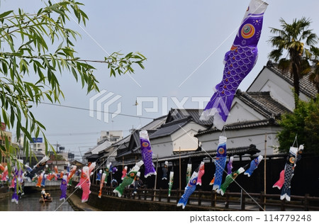 Carp streamers on a clear day in Tochigi Carp streamers on a clear day in Tochigi 114779248