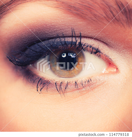 Glamorous woman with elegant eye make up. Glamorous woman with elegant eye make up. 114779318