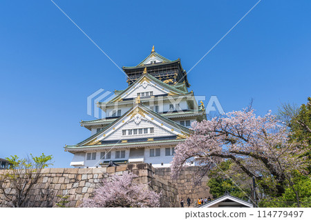 [Cherry Blossoms] Osaka Castle Park in Spring [Osaka Castle Tower] 114779497