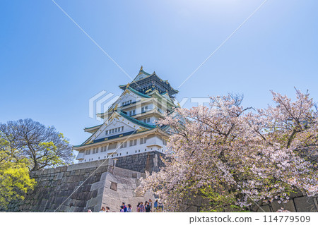 [Cherry Blossoms] Osaka Castle Park in Spring [Osaka Castle Tower] 114779509