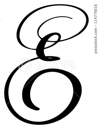 Hand drawn vector calligraphy letter E. Script font logo. Handwritten brush style flourish 114779816
