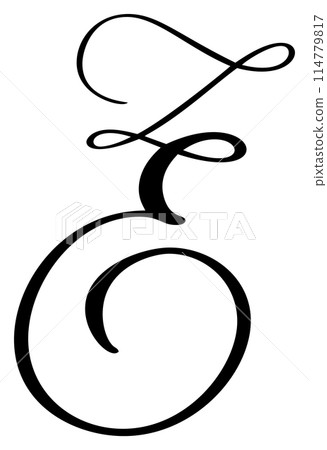 Vector calligraphy hand drawn letter E. Script font logo icon. Handwritten brush style 114779817