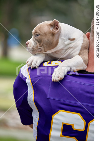 American football player with a dog posing on camera in a park. Copy space, sports banner. Concept american football, sport for the protection of animals. American football player with a dog posing on camera in a park. Copy space, sports banner. Concept american football, sport for the protection of animals. 114780039