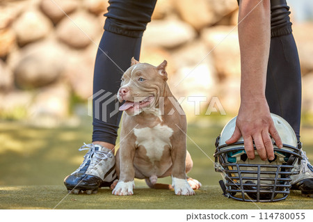American football player with a dog posing on camera in a park. Copy space, sports banner. Concept american football, sport for the protection of animals. American football player with a dog posing on camera in a park. Copy space, sports banner. Concept american football, sport for the protection of animals. 114780055