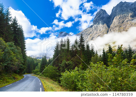 Scenic Mountain Road Amidst Forest and Misty Peaks Scenic Mountain Road Amidst Forest and Misty Peaks 114780359