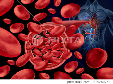 Normal Artery Blood Flow 114780752