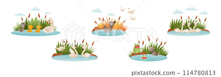 Ugly Duckling Fairy Tale with Little Birdie Vector Set Ugly Duckling Fairy Tale with Little Birdie Vector Set 114780813