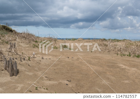 Normandy France D-Day at WWII Utah Beach. Sand blue sky and clouds. Veterans Day rememberance. High quality photomontage Normandy France D-Day at WWII Utah Beach. Sand blue sky and clouds. Veterans Day rememberance. High quality photomontage 114782557
