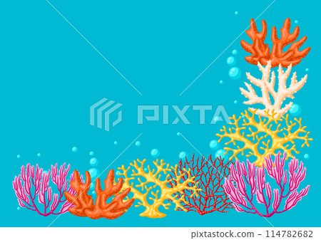 Background with sea corals. Marine life aquarium and water fauna. 114782682