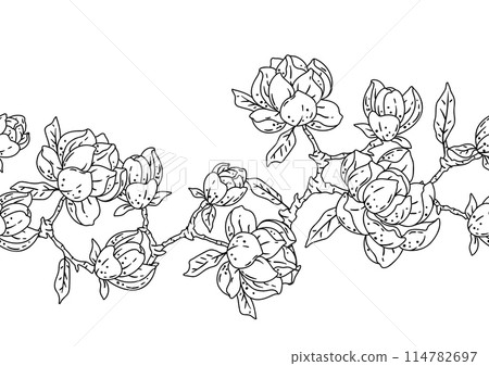 Pattern with magnolia flowers. Beautiful decorative plants. Pattern with magnolia flowers. Beautiful decorative plants. 114782697