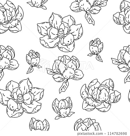 Pattern with magnolia flowers. Beautiful decorative plants. 114782698
