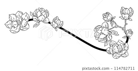 Decoration with magnolia flowers. Beautiful decorative plants. 114782711