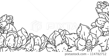 Background with magnolia. Beautiful decorative plants. Background with magnolia. Beautiful decorative plants. 114782712