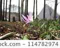 一朵花 114782974
