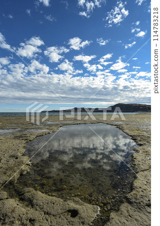 Coastal landscape with cliffs in Peninsula Valdes, World Heritage Site, Patagonia Argentina 114783218