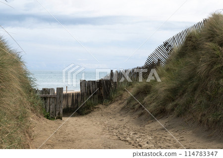 Utah Beach in Normandy, France wood sea fence, grass and sand dunes. Sunny sky light ble clouds. Ammophila arenaria grass on sandy dunes. High quality photo Utah Beach in Normandy, France wood sea fence, grass and sand dunes. Sunny sky light ble clouds. Ammophila arenaria grass on sandy dunes. High quality photo 114783347